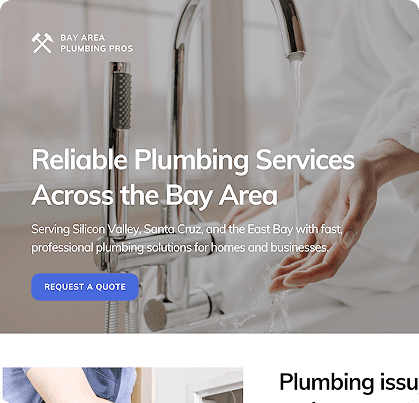 Bay Area Plumbing Pros — launch website example